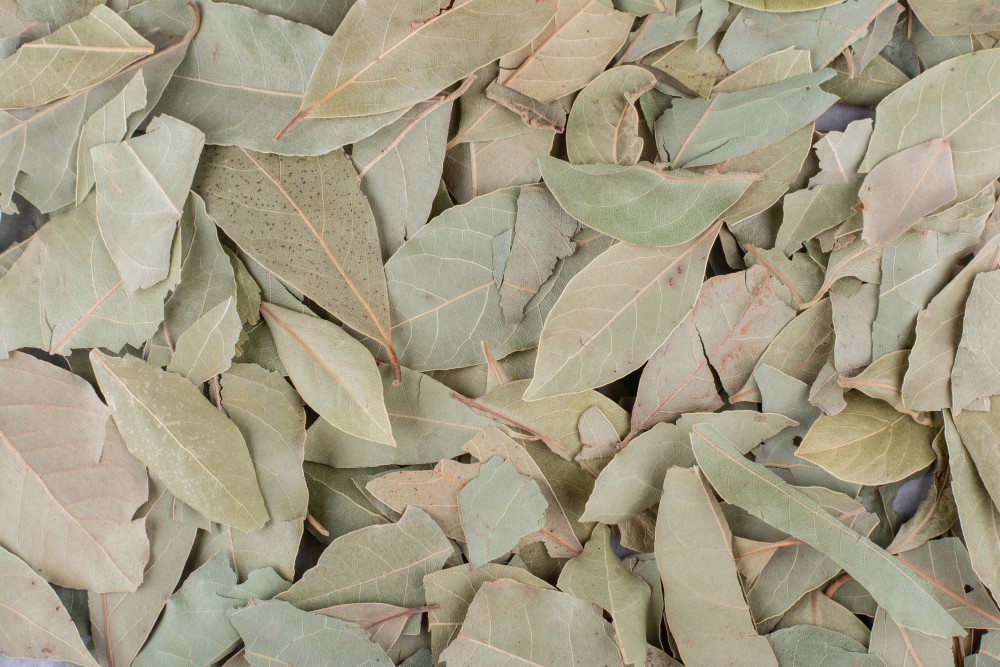 Bay Leaves