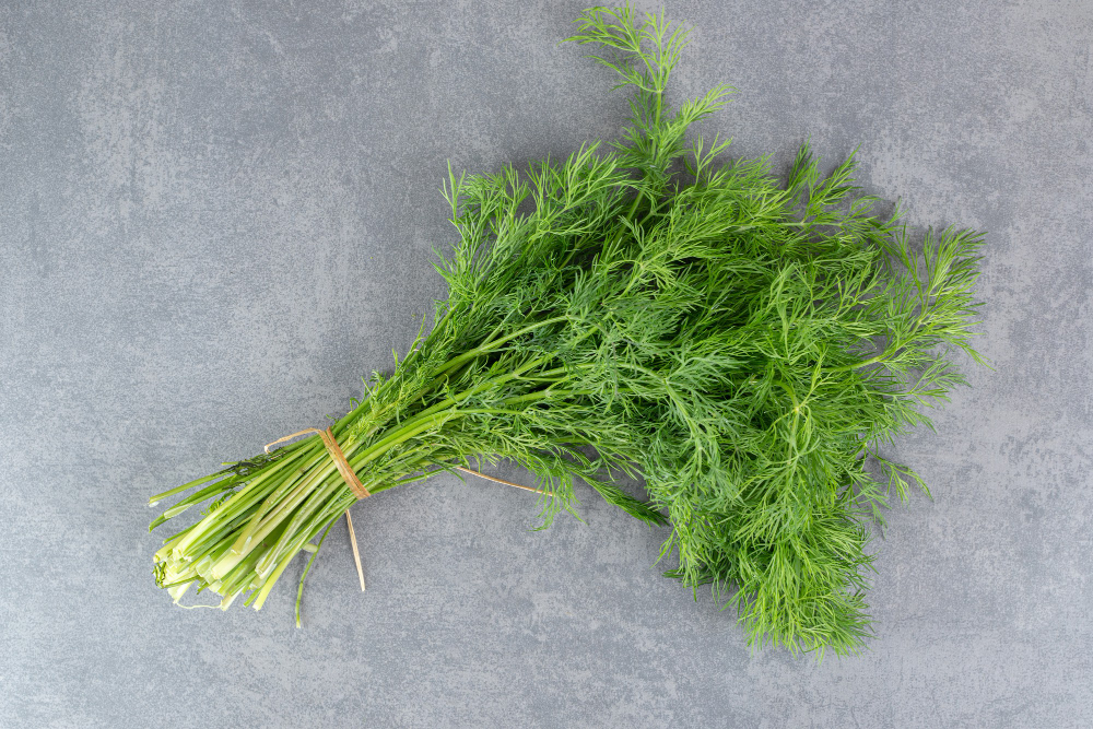 Dill